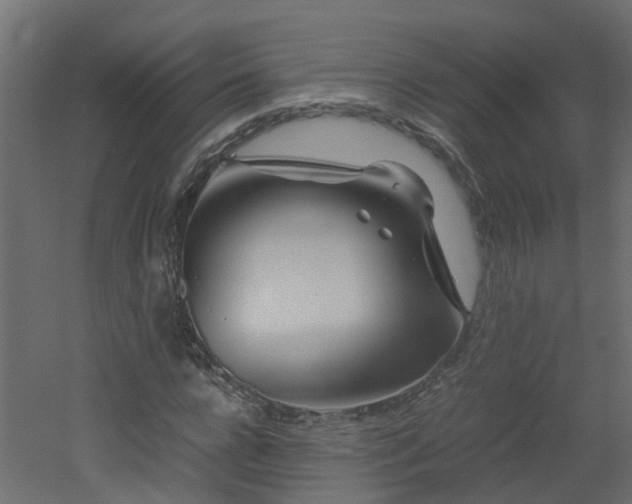 X0000051870920200506241343