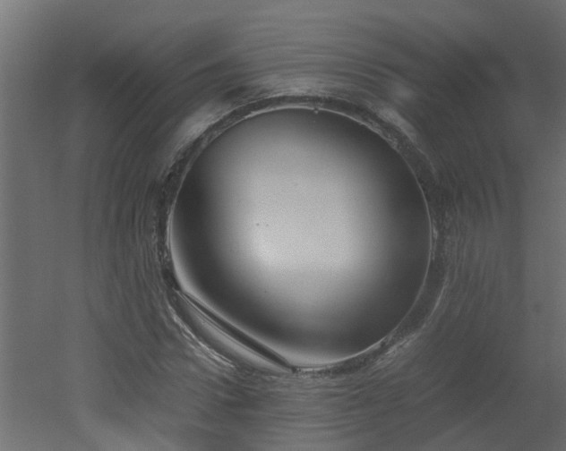 X0000051870922200506241343