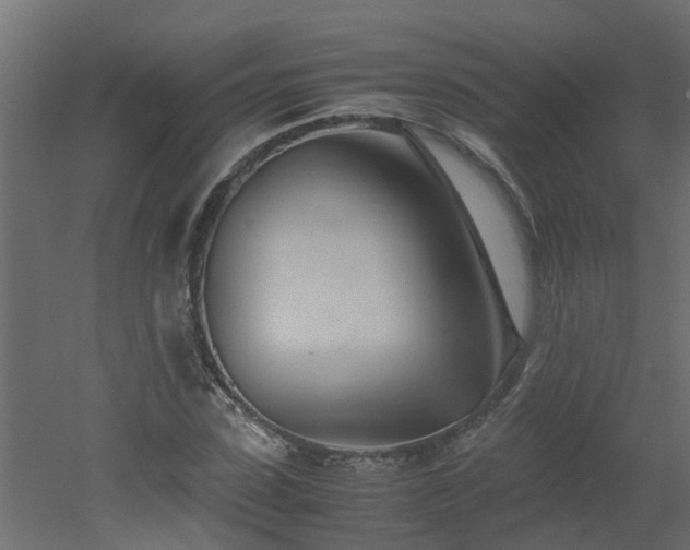 X0000051870923200506241343
