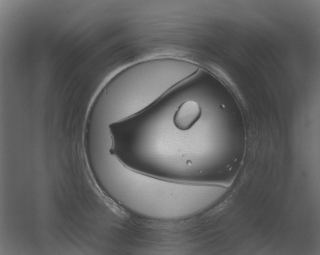 X0000051870948200506241344