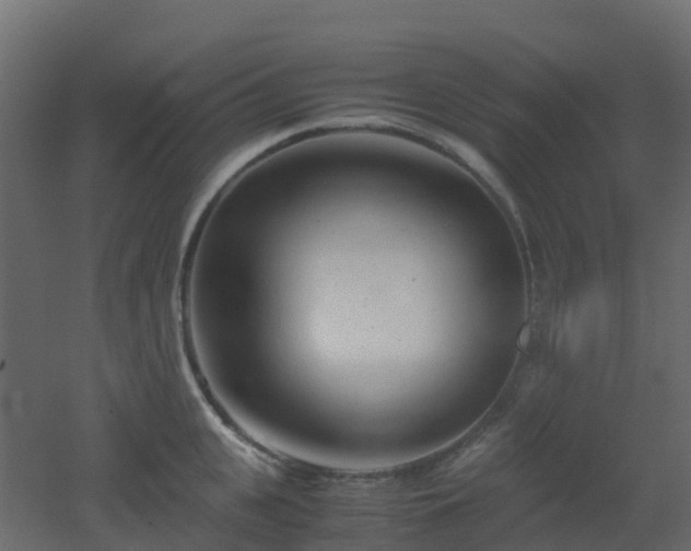 X0000051870951200506241344