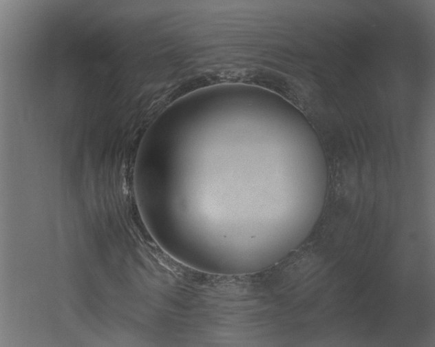 X0000051870962200506241343