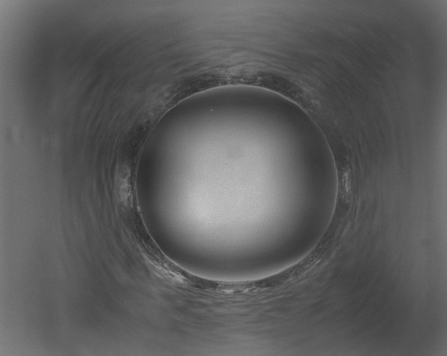X0000051870963200506241343