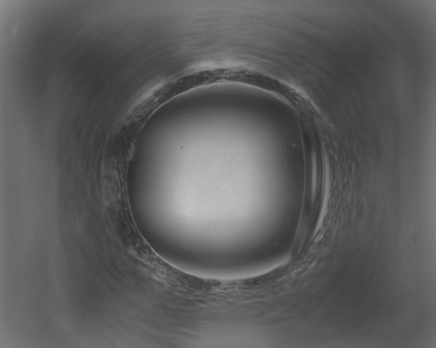 X0000051870967200506241343