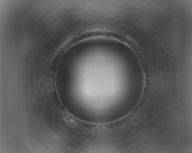 X0000051870968200506241343