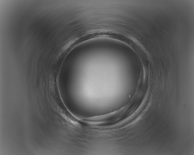 X0000051870969200506241343