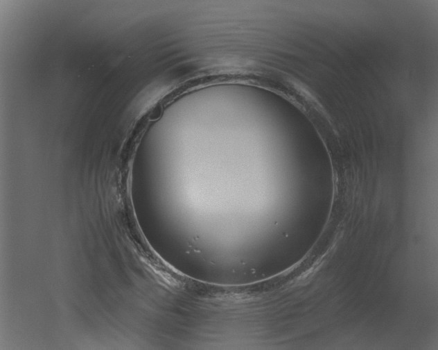 X0000051870970200506241343