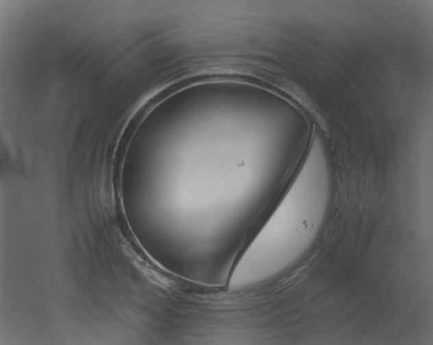X0000051870980200506241343