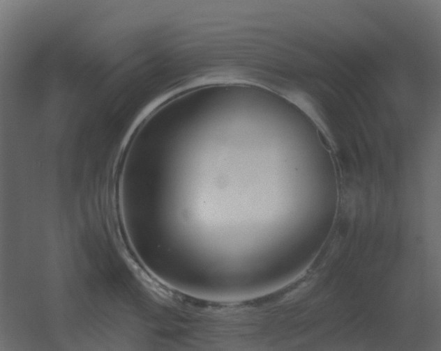 X0000051871004200506241342
