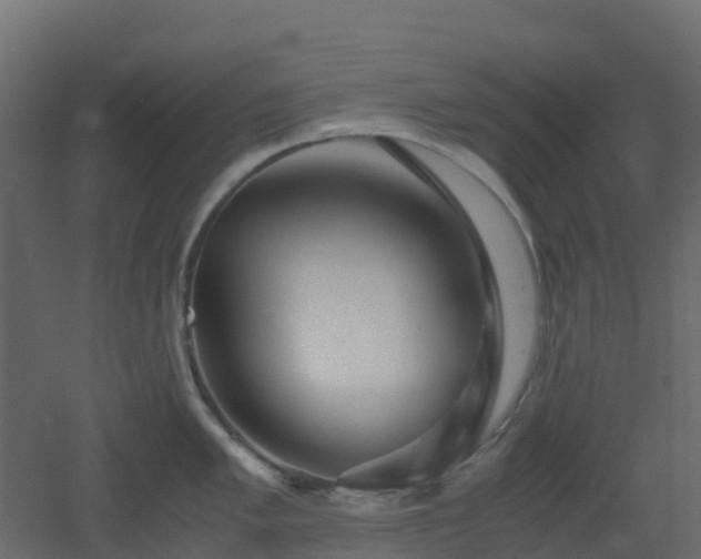 X0000051871005200506241342