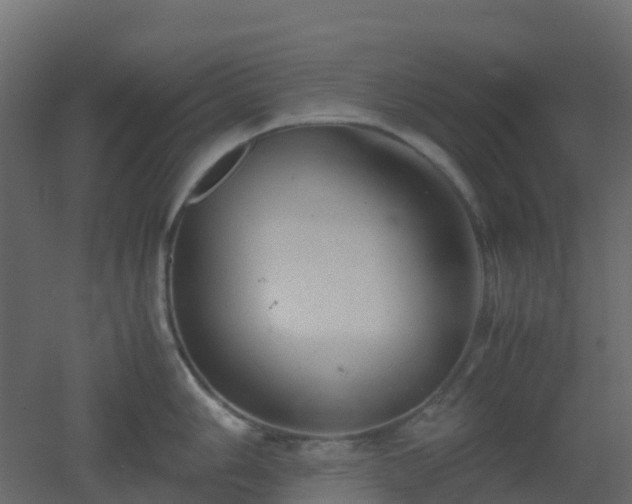 X0000051871006200506241342