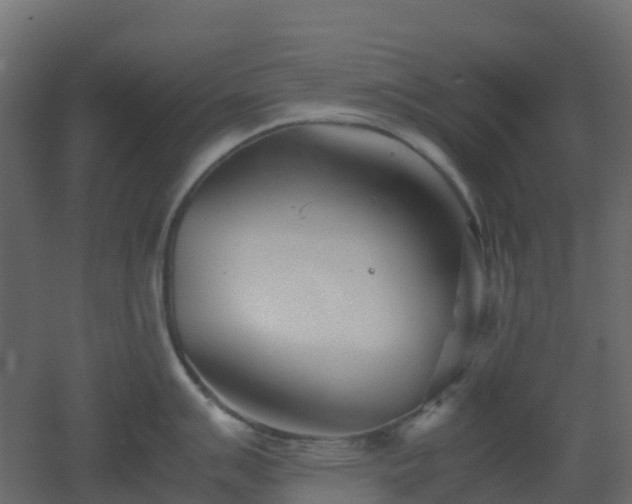 X0000051871007200506241342