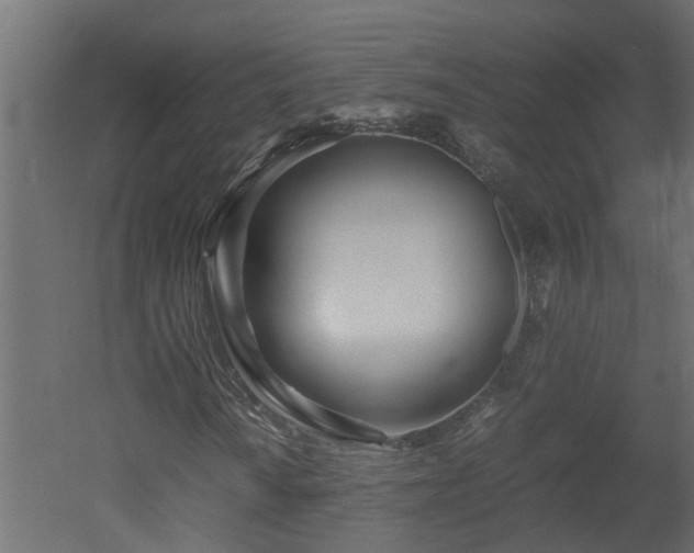 X0000051871010200506241341