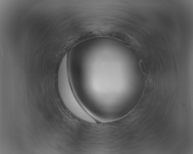 X0000051871012200506241341