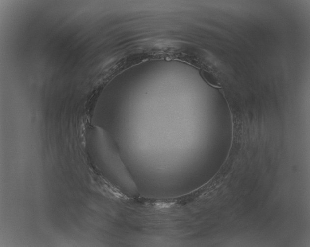 X0000051871013200506241341