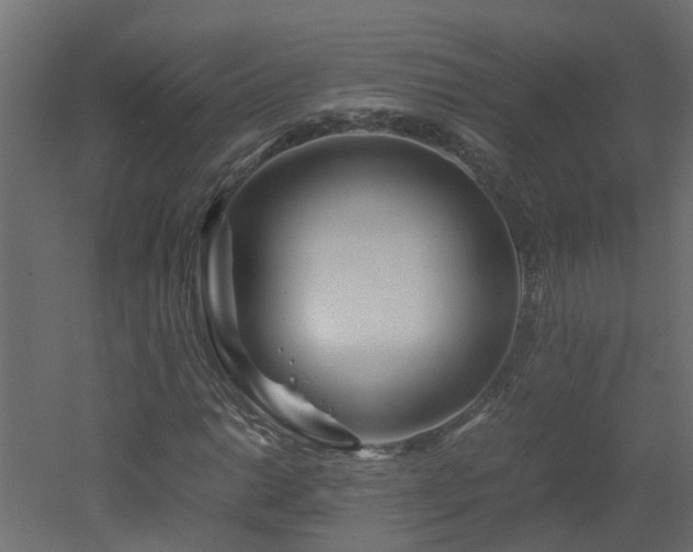 X0000051871014200506241341