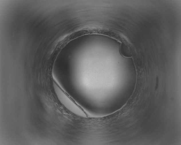 X0000051871016200506241341