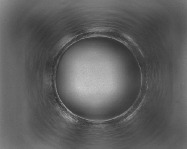 X0000051871017200506241341