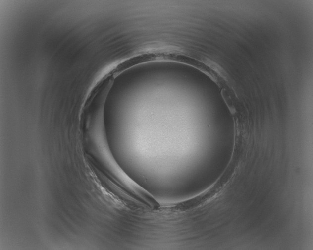 X0000051871022200506241342