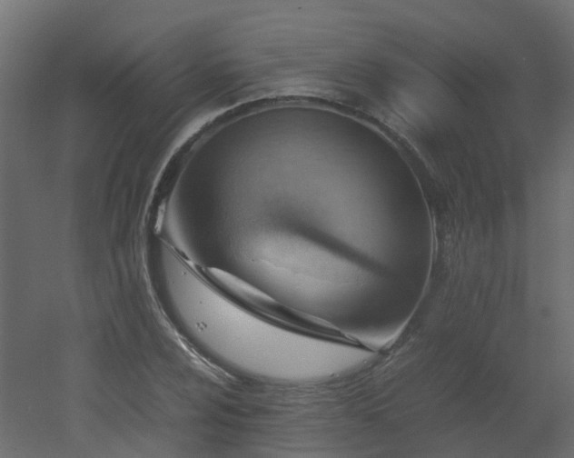 X0000051871024200506241342