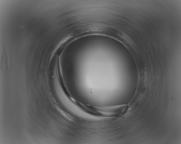 X0000051871026200506241342