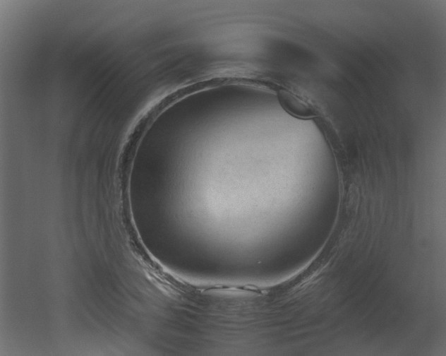 X0000051871027200506241342