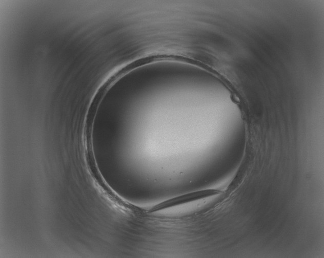 X0000051871028200506241342