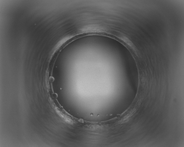 X0000051871030200506241342