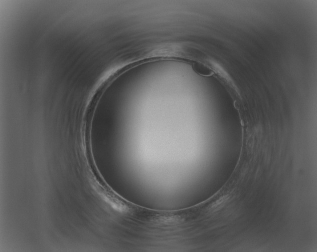 X0000051871035200506241342