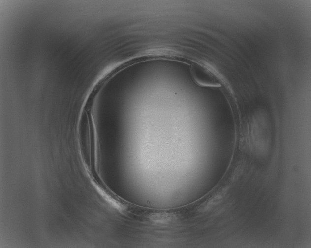 X0000051871037200506241342