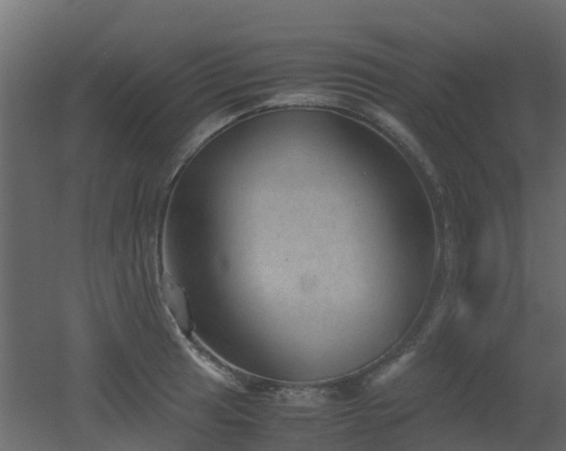 X0000051871041200506241342