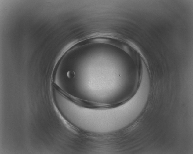 X0000051871050200506241342