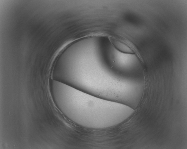 X0000051871051200506241342