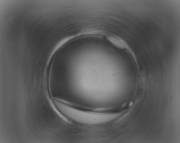 X0000051871053200506241342