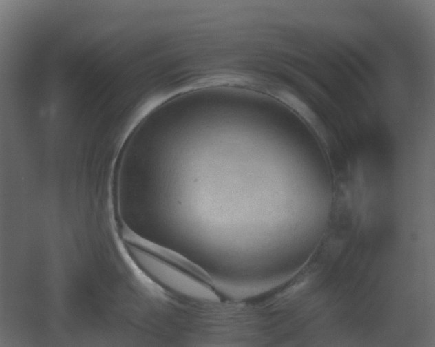 X0000051871055200506241342