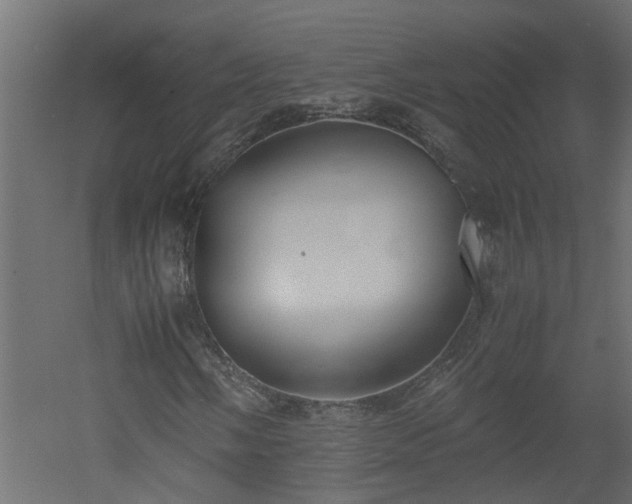 X0000051871058200506241341