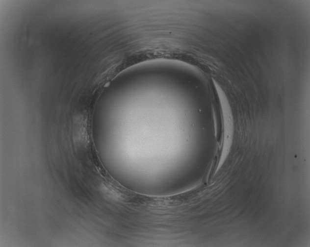 X0000051871060200506241341