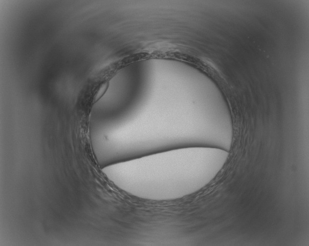 X0000051871063200506241341