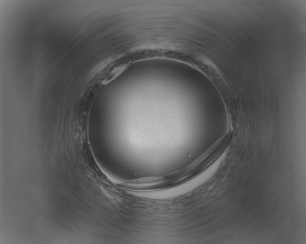 X0000051871064200506241341
