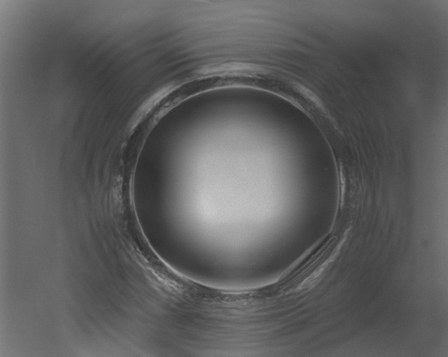 X0000051871066200506241341