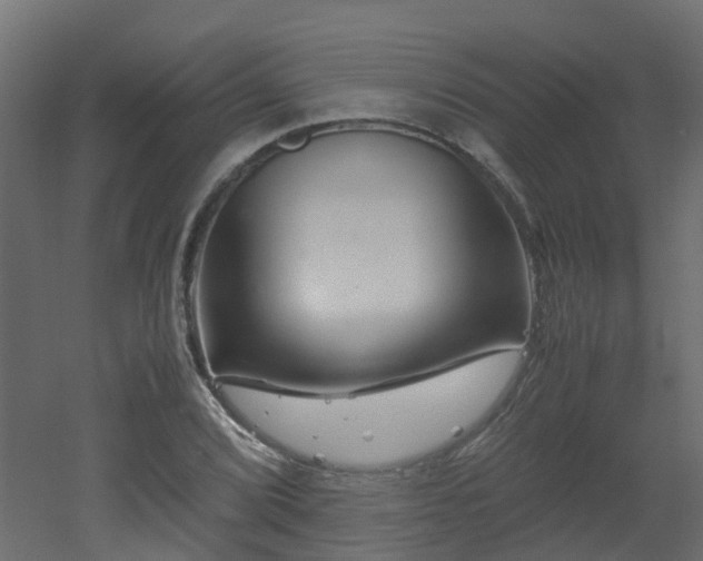 X0000051871072200506241341