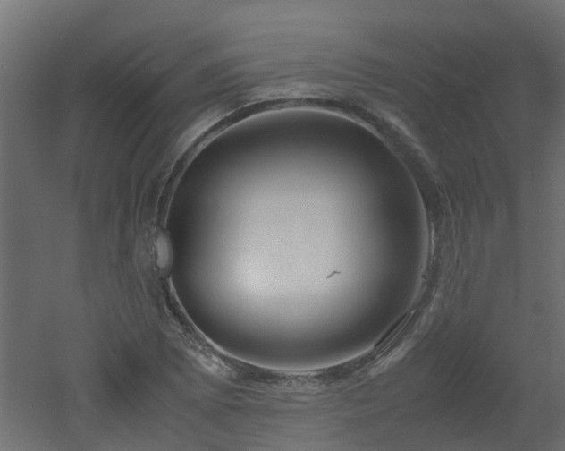 X0000051871073200506241341