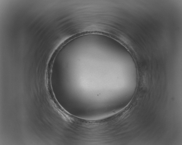 X0000051871076200506241341