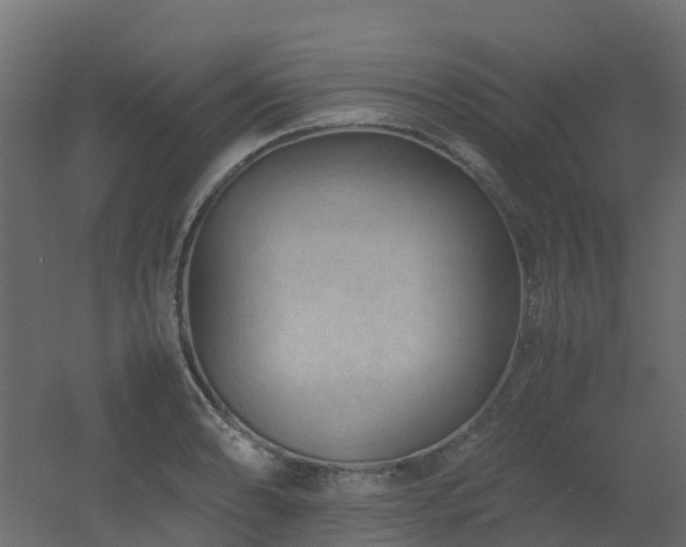 X0000051871086200506241341