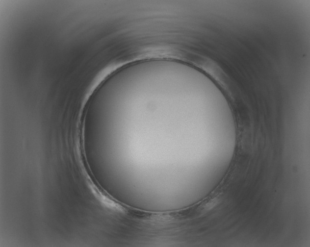 X0000051871094200506241341