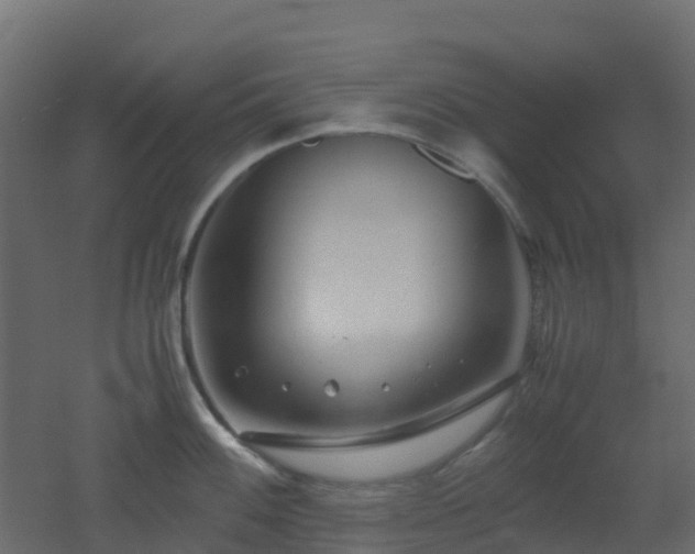 X0000051871100200506241341