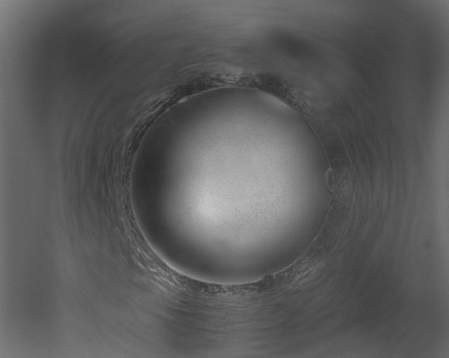 X0000051871105200506241340