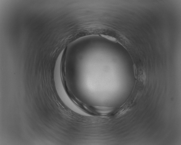 X0000051871108200506241340