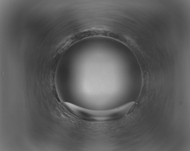 X0000051871110200506241340