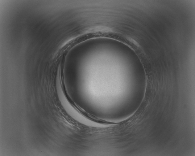 X0000051871112200506241340